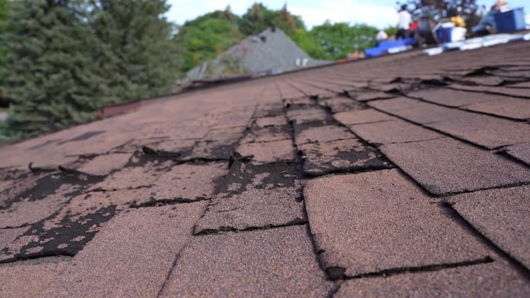 Trusted Schnecksville, PA Roof Repair & Installaion Experts